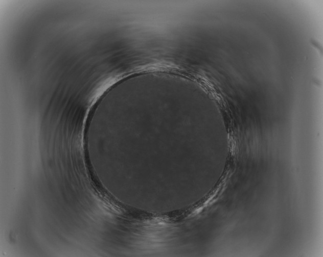 X0000091730196200708311210