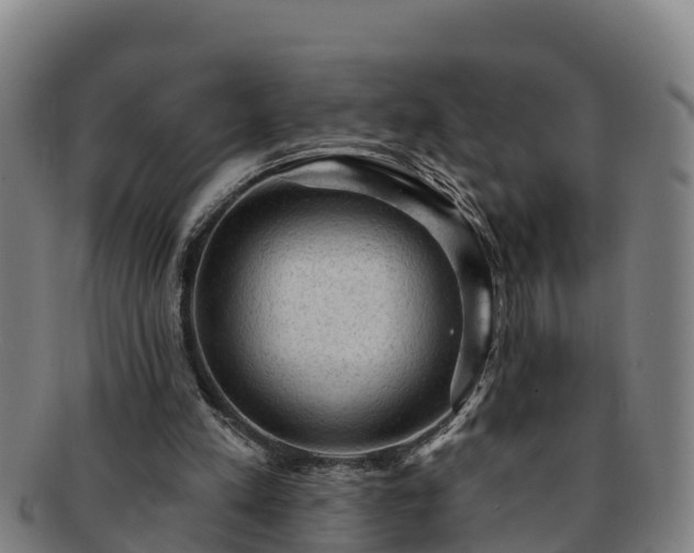 X0000091730197200708311210