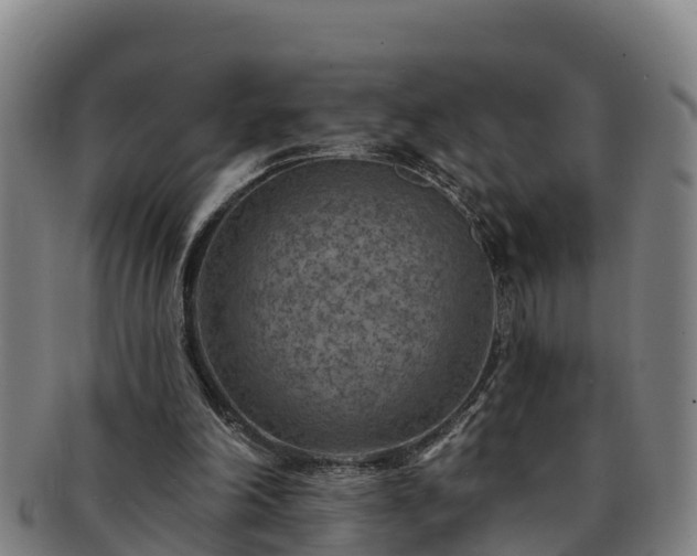 X0000091730198200708311210