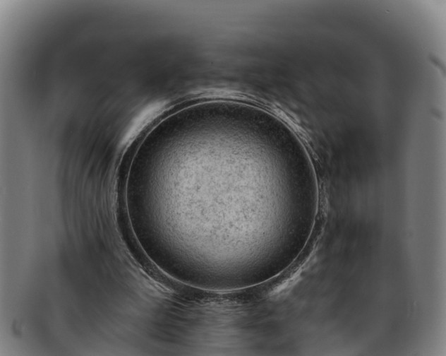 X0000091730199200708311210