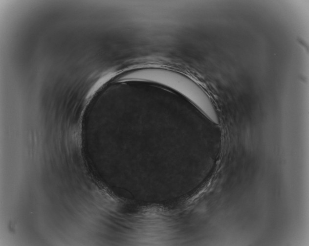 X0000091730200200708311210