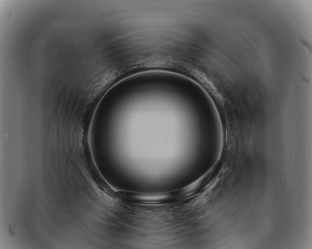 X0000091730201200708311210