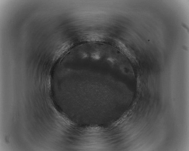 X0000091730202200708311210