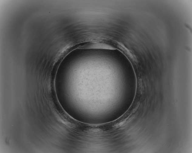 X0000091730203200708311209