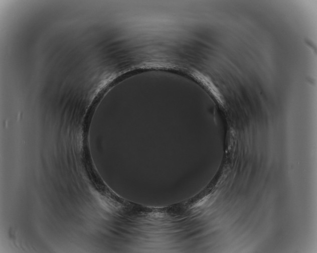 X0000091730204200708311209