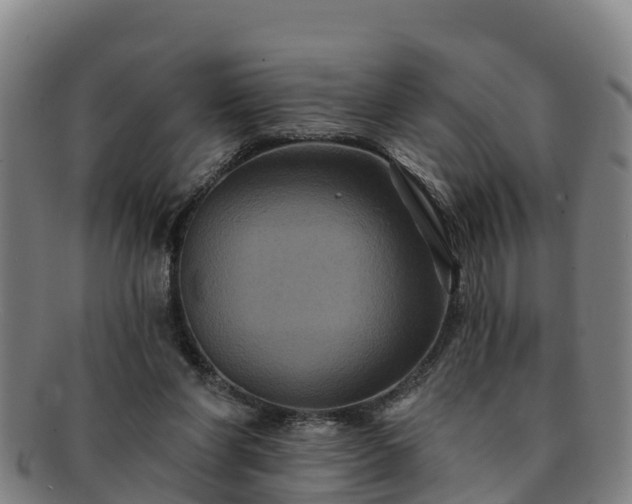 X0000091730206200708311209