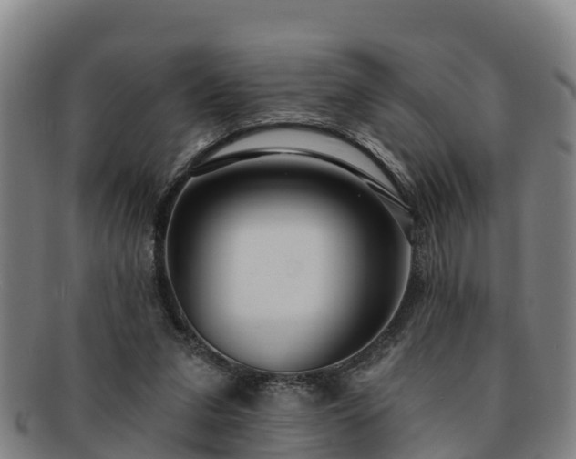 X0000091730207200708311209