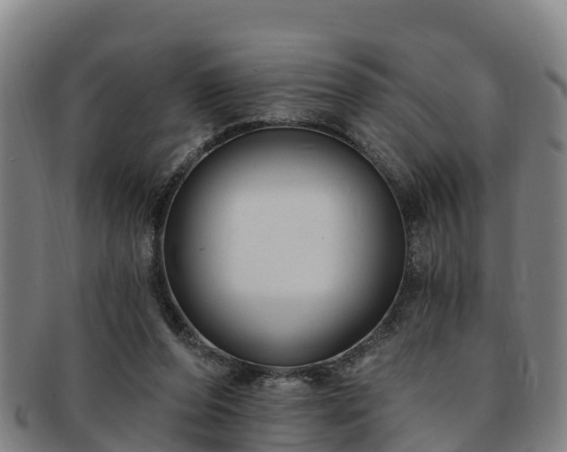 X0000091730208200708311209