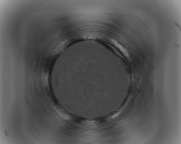 X0000091730209200708311209