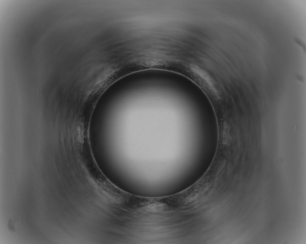 X0000091730210200708311209