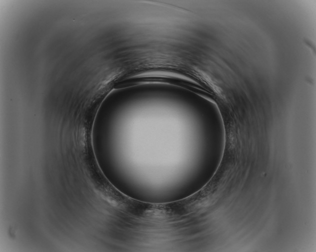 X0000091730211200708311209