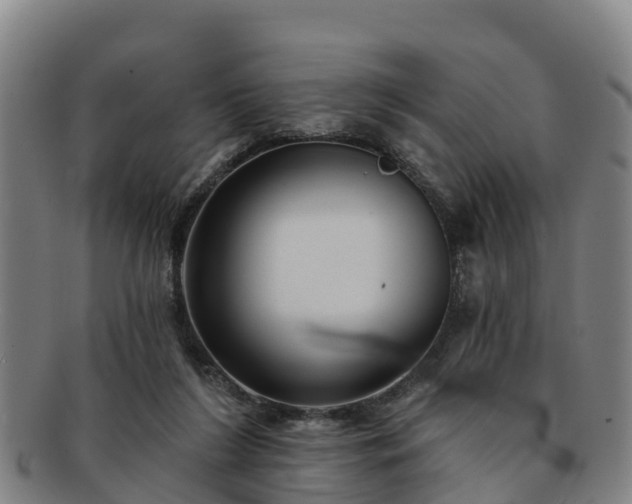 X0000091730212200708311209