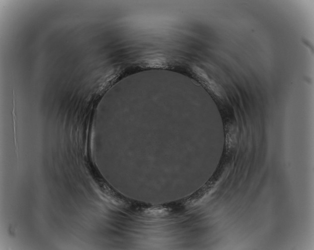 X0000091730213200708311209