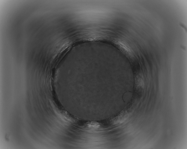 X0000091730214200708311209