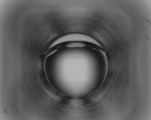 X0000091730215200708311209