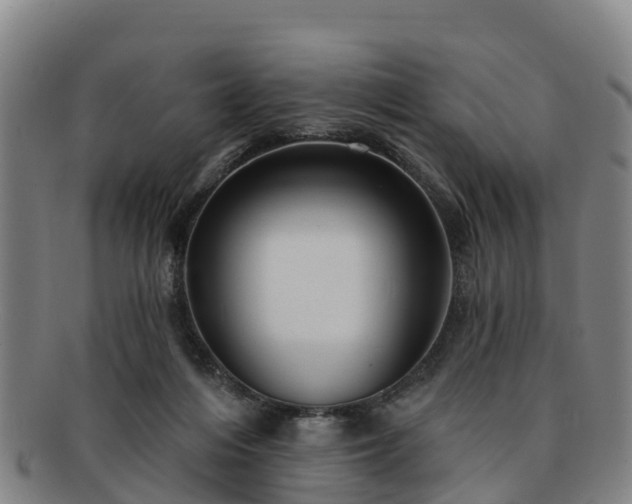 X0000091730216200708311209