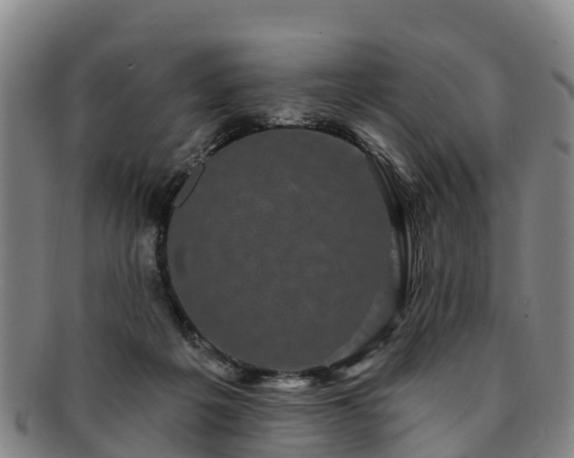 X0000091730217200708311209