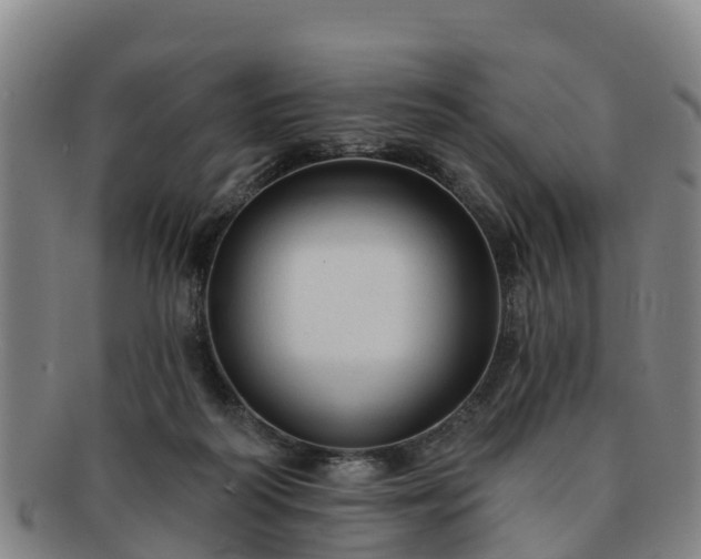 X0000091730218200708311209