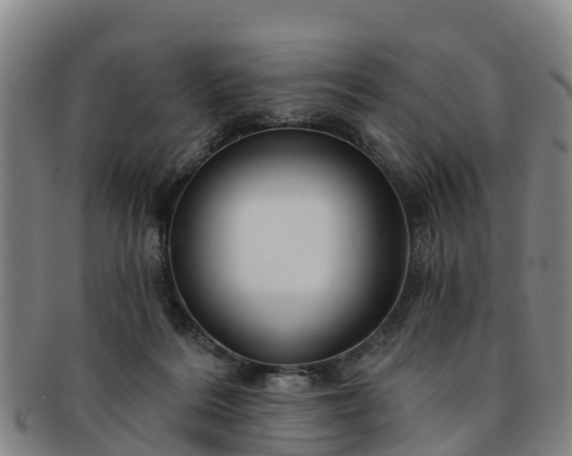 X0000091730220200708311209