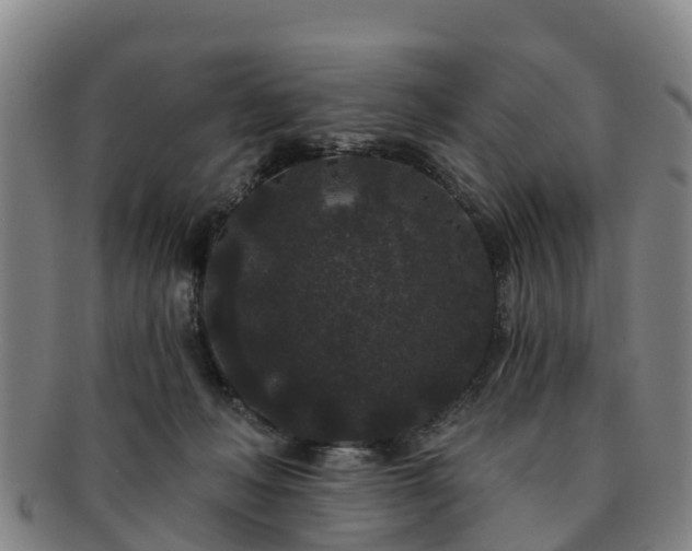 X0000091730222200708311209