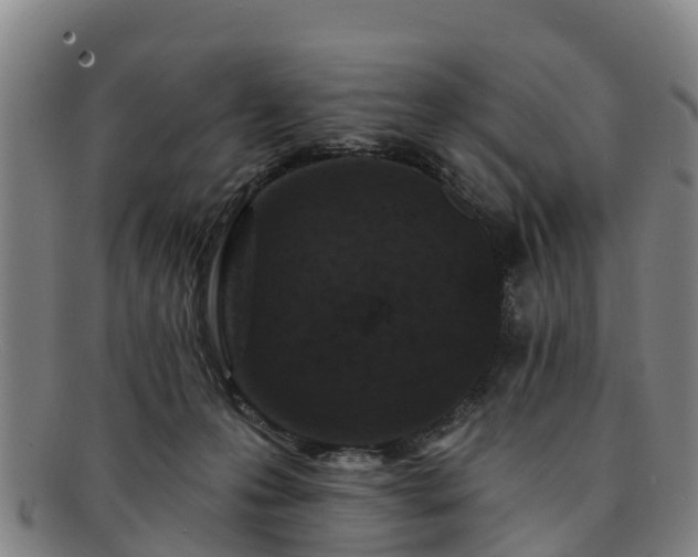 X0000091730223200708311209