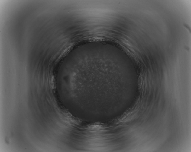 X0000091730224200708311209