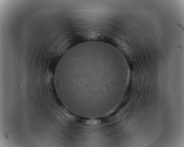 X0000091730225200708311209