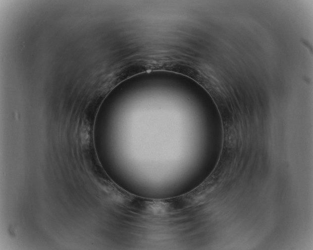 X0000091730226200708311209