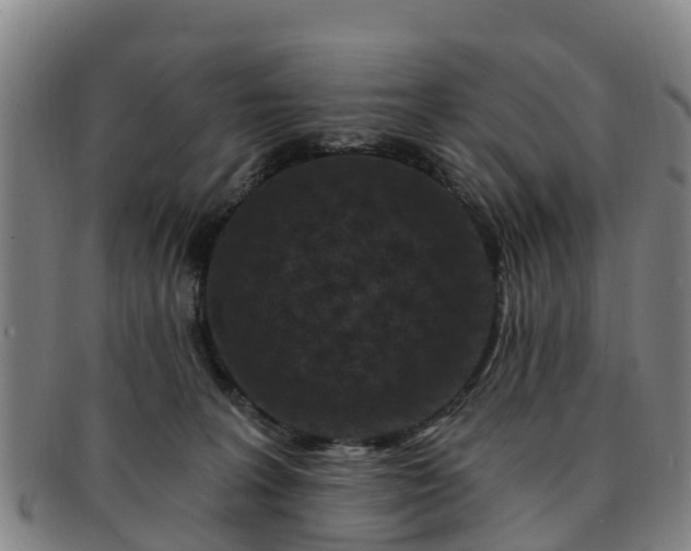 X0000091730227200708311209