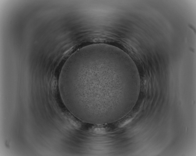 X0000091730228200708311209