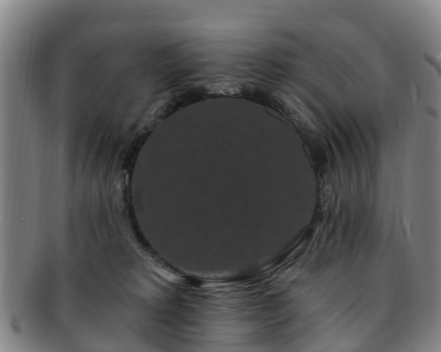 X0000091730229200708311209