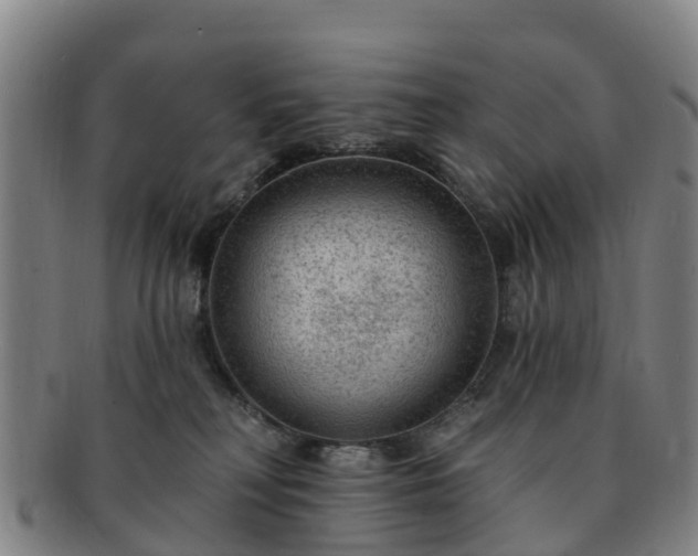 X0000091730230200708311209