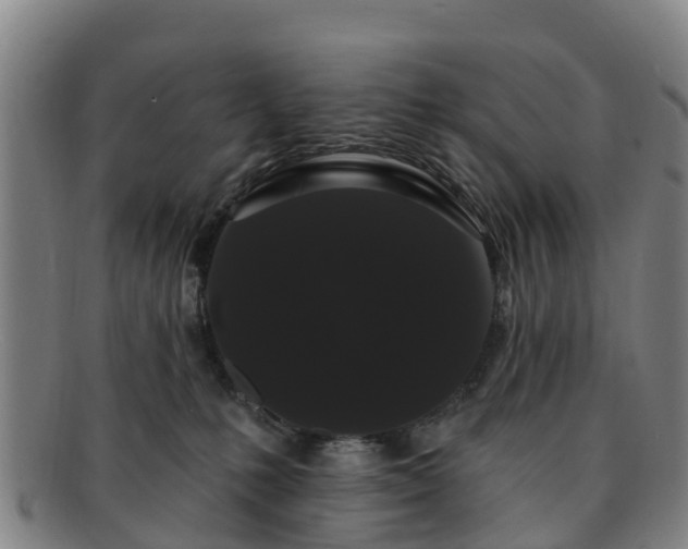 X0000091730231200708311209