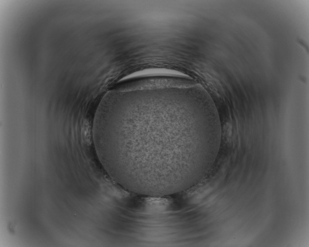 X0000091730234200708311209