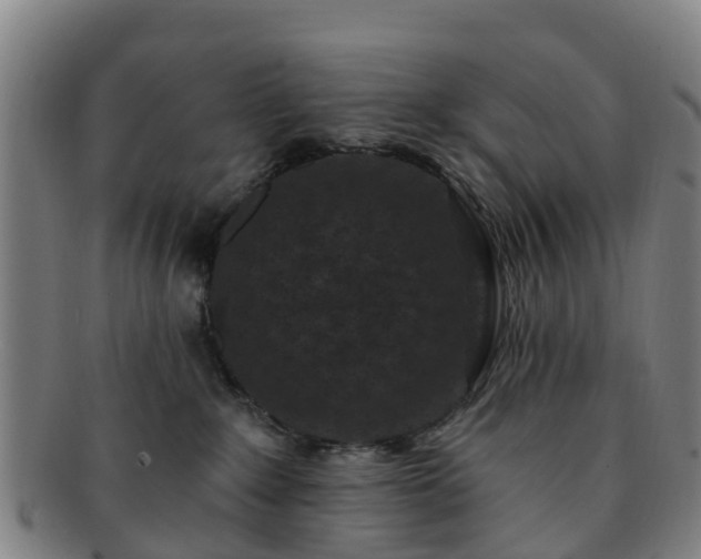 X0000091730235200708311209