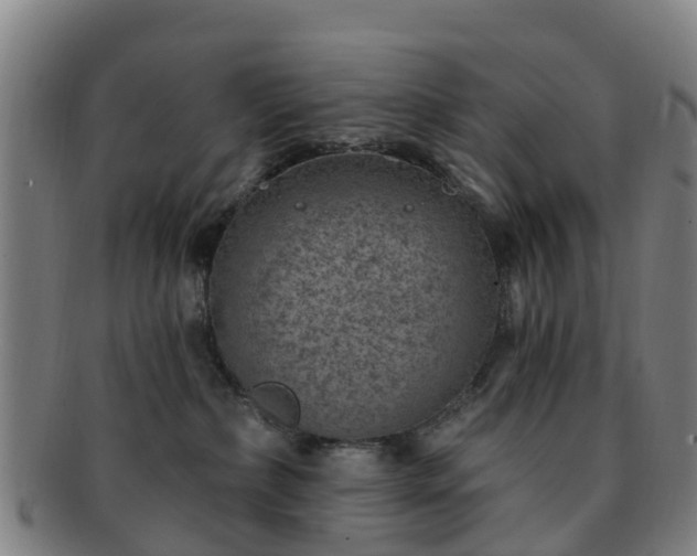 X0000091730236200708311209