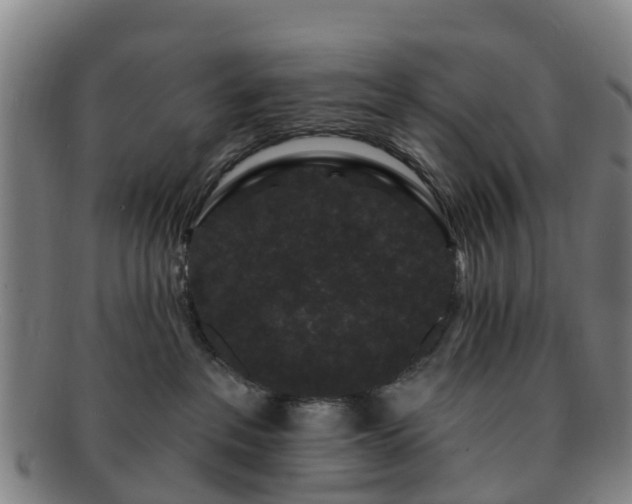 X0000091730237200708311209