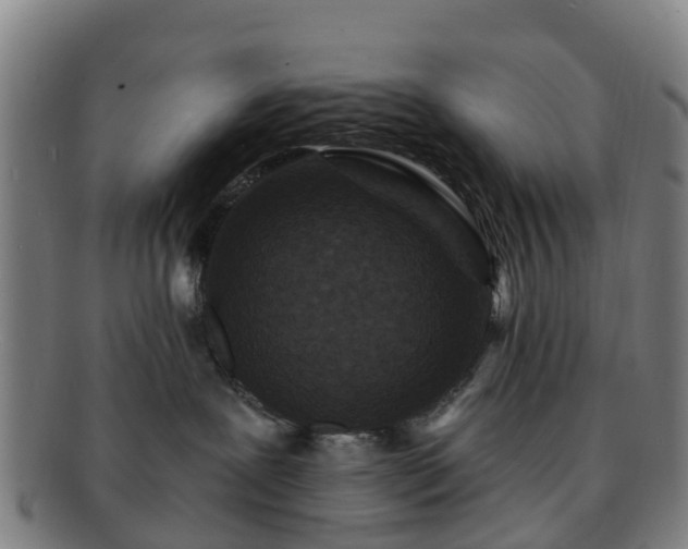 X0000091730239200708311209