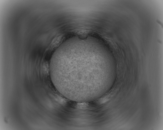 X0000091730240200708311209