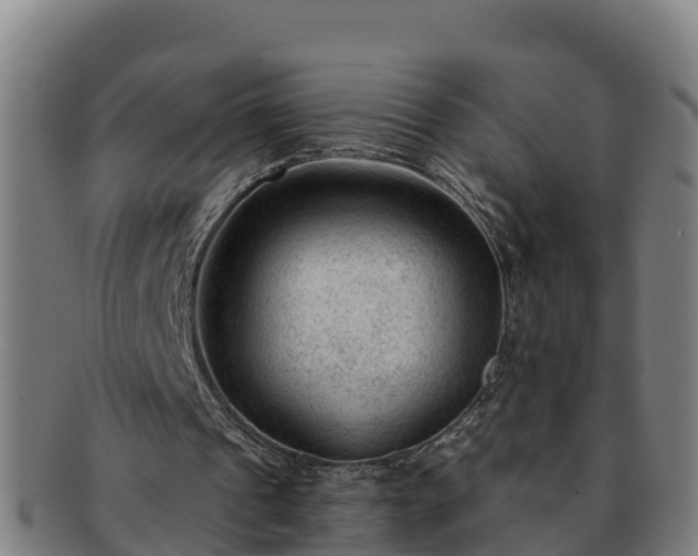 X0000091730241200708311208