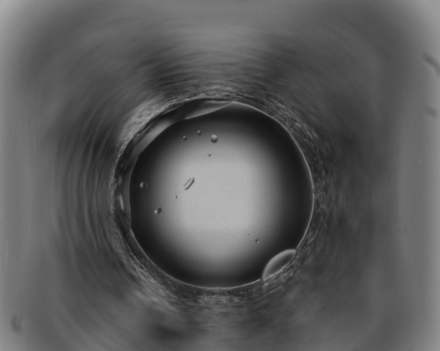 X0000091730242200708311208