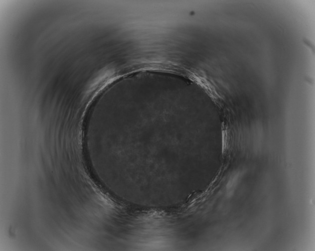 X0000091730243200708311208