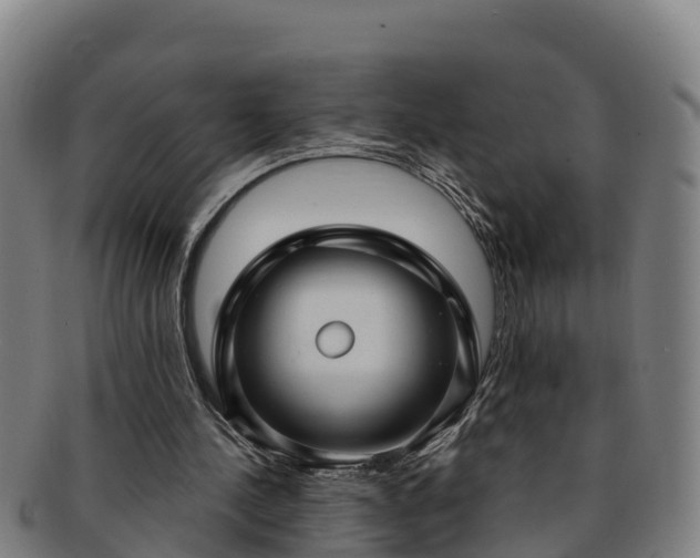 X0000091730244200708311208