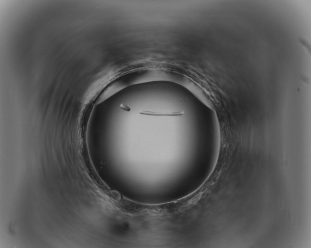 X0000091730245200708311208