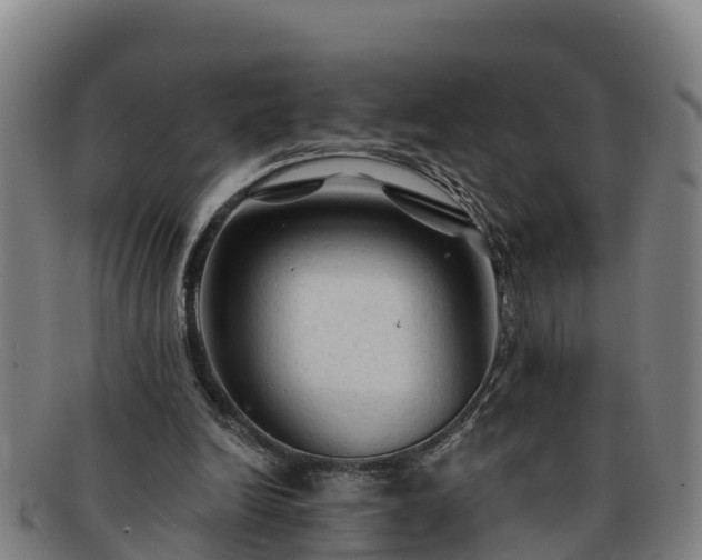 X0000091730246200708311208