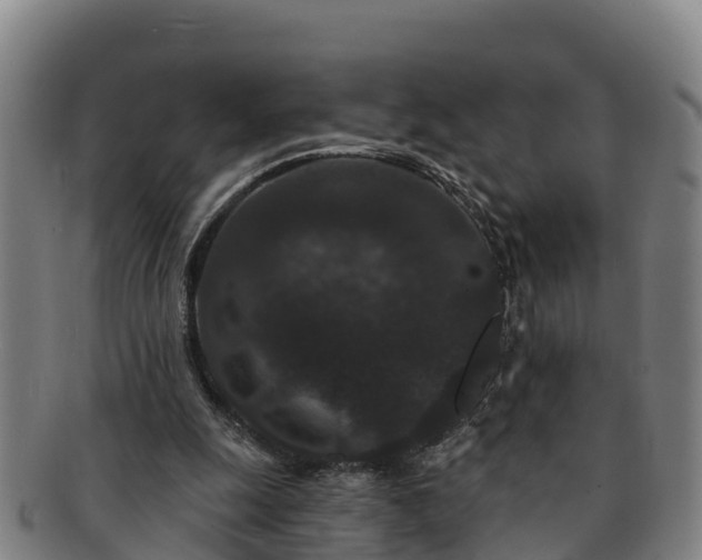 X0000091730247200708311208