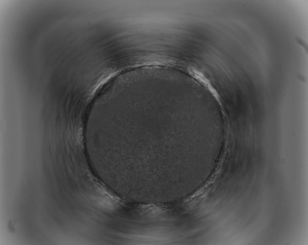 X0000091730249200708311208