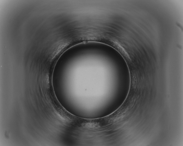 X0000091730251200708311208