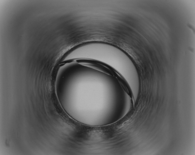 X0000091730252200708311208