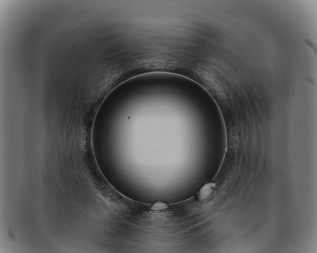 X0000091730255200708311209